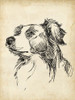 Breed Studies IX Poster Print - Ethan Harper