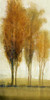 Balance I Poster Print - Tim OToole