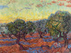 Olive Grove, Saint-Remy Poster Print - Gogh Vincent van