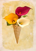 Surprise III Poster Print - Teo Rizzardi