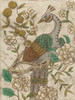 Chinoiserie Pheasant II Poster Print - Chariklia Zarris