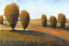 Afternoon Light I Poster Print - Tim OToole