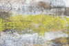 Yellow and Grey Serenity II Poster Print - Jennifer Goldberger