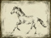 Equine Study II Poster Print - Ethan Harper