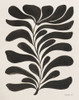 Blooming Joy III Poster Print - Danhui Nai