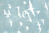 Silhouettes in Flight II Poster Print - Jennifer Goldberger