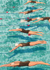 Divine Diving Poster Print - Steven Hill