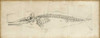 Whale Study II Poster Print - Ethan Harper