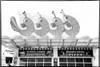 For Your Amusement III Poster Print - Laura DeNardo