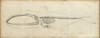 Whale Study I Poster Print - Ethan Harper