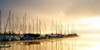 Marina Morning I Poster Print - Danny Head