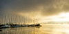 Marina Morning II Poster Print - Danny Head