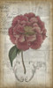 French Floral III Poster Print - Jennifer Goldberger