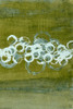 Green Orbs II Poster Print - Charles McMullen