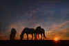 Camargue Sunrise Poster Print - PHBurchett