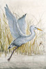 Heron Sanctuary I Poster Print - Tim OToole