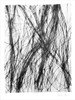 Free Flow II Poster Print - Jennifer Goldberger