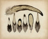 Vintage Feathers VII Poster Print - Unknown