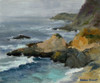 Bodega Head Poster Print - Barbara Chenault