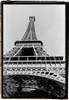Tour Eiffel Poster Print - Laura DeNardo