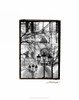 Notre Dame Cathedral II Poster Print - Laura DeNardo