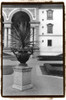Royal Urn II Poster Print - Laura DeNardo