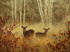 Foggy Deer Poster Print - Chris Vest