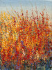 High Desert Blossoms II Poster Print - Tim OToole