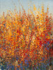 High Desert Blossoms I Poster Print - Tim OToole