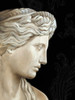 Aphrodite Poster Print - Ethan Harper