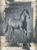 Running Stallion I Poster Print - Ethan Harper
