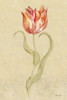 Dancing Bulbs V Poster Print - Cheri Blum