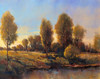 Riverside Light II Poster Print - Tim OToole
