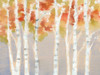 Swaying Birches I Poster Print - Jennifer Goldberger