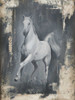 Running Stallion II Poster Print - Ethan Harper