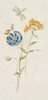 Wild Wallflowers IV Blue Panel Poster Print - Cheri Blum ()