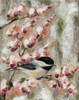 Cherry Blossom Bird I Poster Print - Jade Reynolds