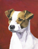 Dog Portrait-Jack Poster Print - Jill Sands