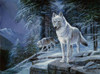 Shadows In The Night Poster Print - Ruane Manning