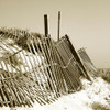 Fences in the Sand I Poster Print - Noah Bay