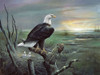 Beauty at Sunrise Poster Print - Ruane Manning