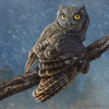 Owl in Winter I Poster Print - Chris Vest