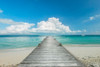 Infinity Pier Poster Print - Danita Delimont