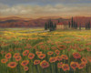 Poppy Path to Home I Poster Print - Julie Joy
