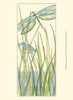 Small Gossamer Dragonflies I Poster Print - Chariklia Zarris