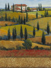 Hilltop Villa II Poster Print - Tim OToole