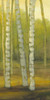 Sunny Birch Grove II Poster Print - Julie Joy