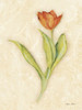 Red Tulip Stem Poster Print - Cheri Blum