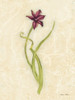 Persian Pearl Stem Poster Print - Cheri Blum