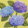 Spring Hydrangeas I Poster Print - Tim OToole
